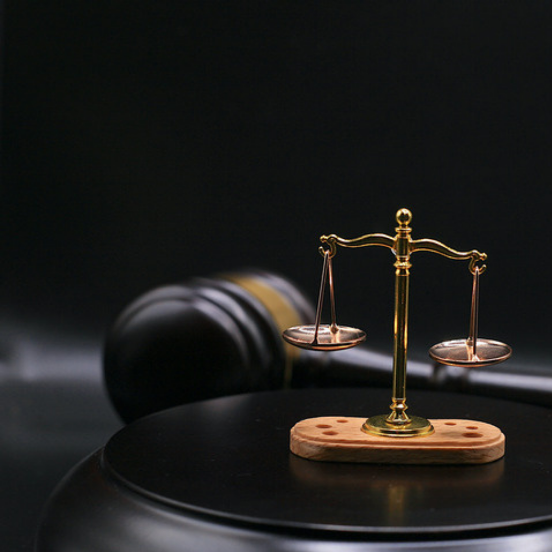 Child Custody Lawyer in Rohini Court